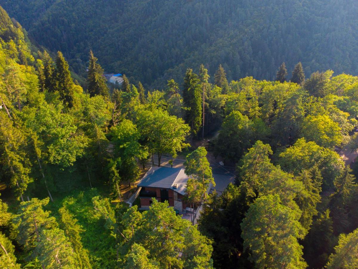 Hotel Evergreen Боржоми Екстериор снимка